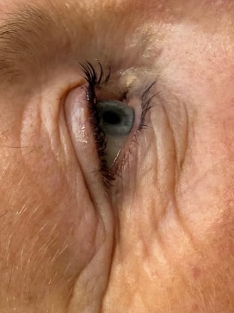 Lash lift result by Azi Beauty